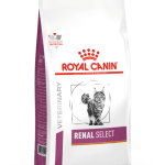 غذای خشک گربه رویال کنین مدل Renal Select بسته 2 کیلوگرمی