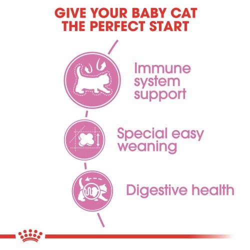 غذای خشک گربه رویال کنین مدل Mother & Babycat بسته 2 کیلوگرمی