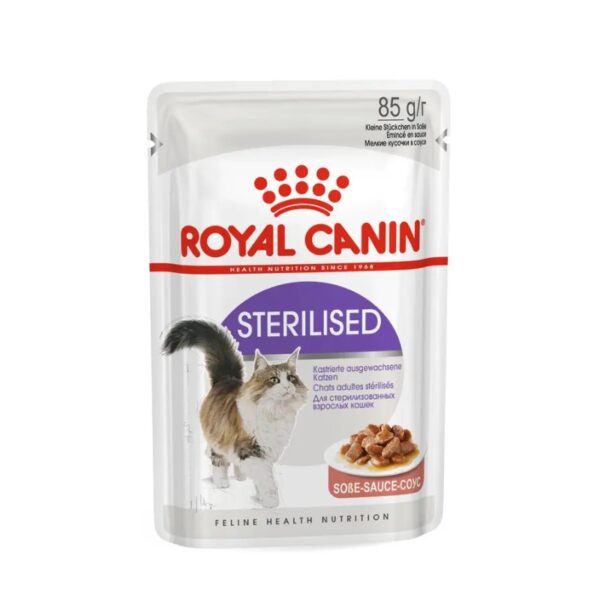 پوچ گربه رویال کنین عقیم شده (Sterilised)