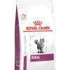 غذای خشک گربه رویال کنین مدل رنال (Renal) بسته 2 کیلوگرمی