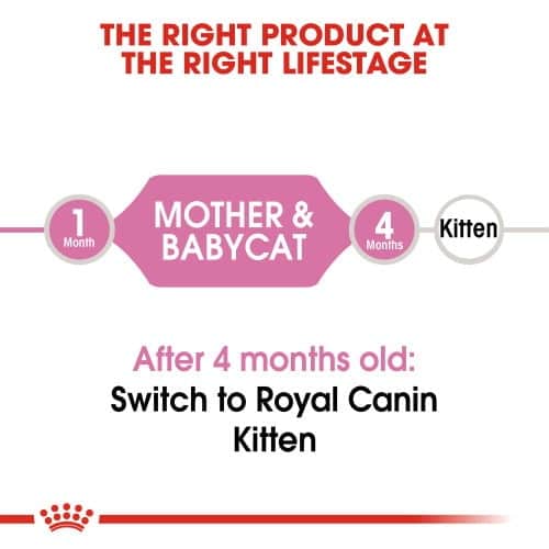 غذای خشک گربه رویال کنین مدل Mother & Babycat بسته 400 گرمی
