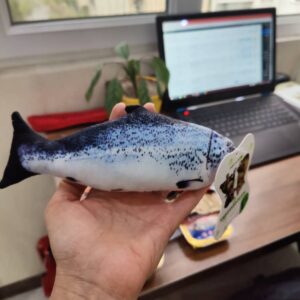 اسباب بازی ماهی پارچه ای مخصوص سگ و گربه