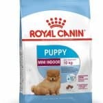غذای خشک سگ رویال کنین مدل Mini Indoor Puppy وزن 1.5 کیلوگرم
