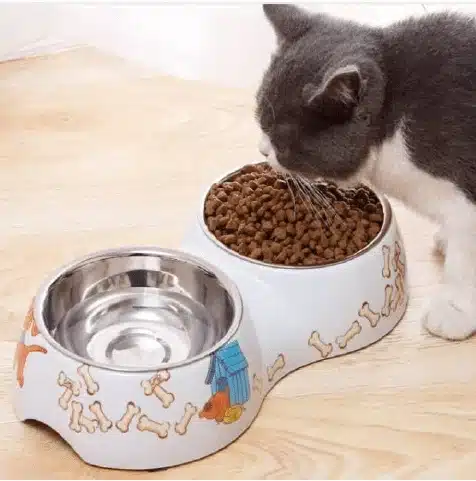 ظرف آب و غذای دوقلو ملامین طرح دار مخصوص سگ و گربه