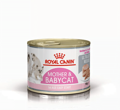 کنسرو گربه رویال کنین مدل Mother and Babycat