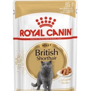 پوچ گربه رویال کنین مدل British Shorthair