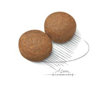 غذای خشک سگ رویال کنین مدل Maxi Adult بسته 15 کیلوگرمی