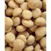 غذای طوطی سانان سیتاکوس مدل های پروتئین وزن 800 گرم