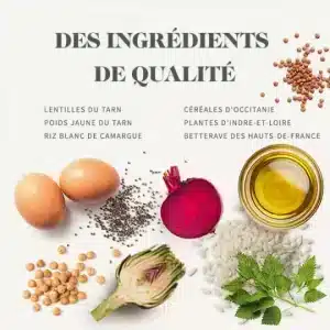 غذای خشک گربه بالغ بابین مدل Indoor با طعم مرغ وزن 2 کیلوگرم
