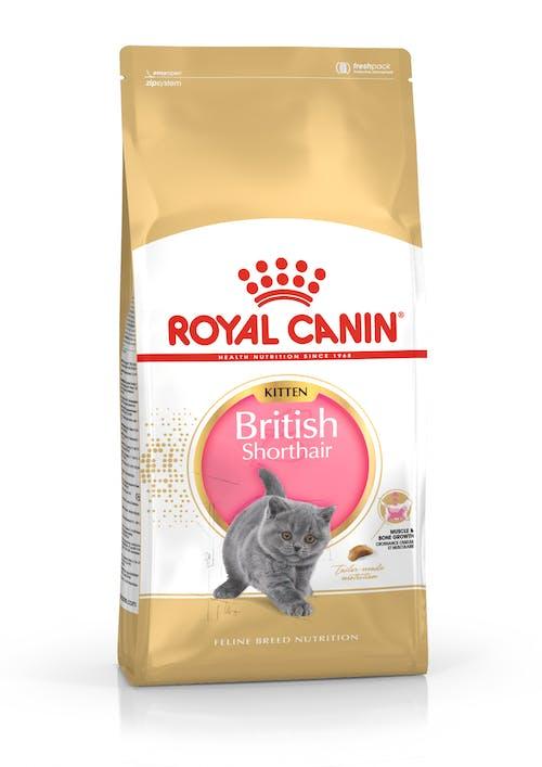 غذای خشک بچه گربه رویال کنین مدل British Kitten