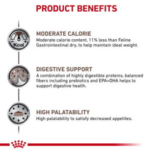 غذای خشک گربه رویال کنین مدل Gastro Moderate Calorie وزن 2 کیلوگرم