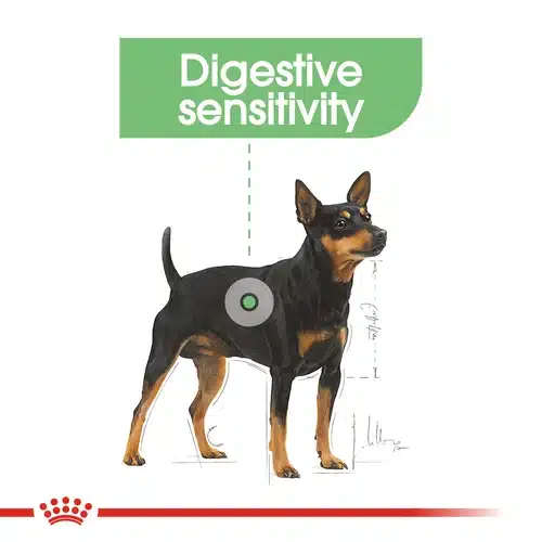 غذای خشک سگ رویال کنین مدل Mini Digestive Care وزن 3