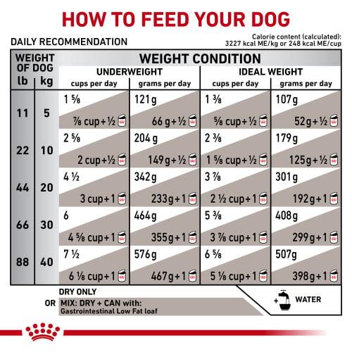 غذای خشک سگ رویال کنین مدل Gastro Low Fat وزن 1.5 کیلوگرم