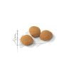 غذای خشک گربه رویال کنین مدل Protein Exigent وزن 10