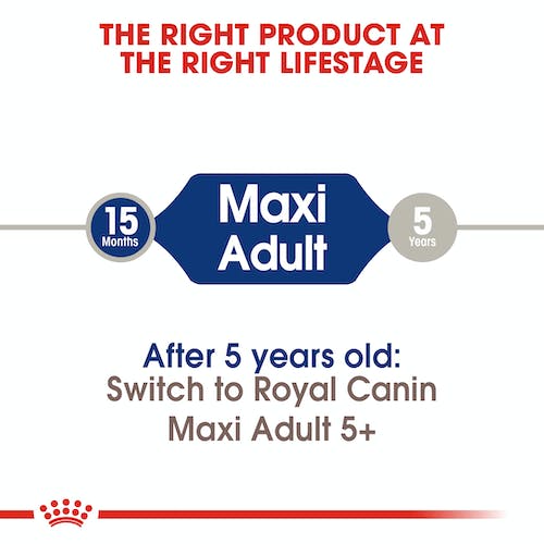 غذای خشک سگ رویال کنین مدل Maxi Adult بسته 4 کیلوگرمی