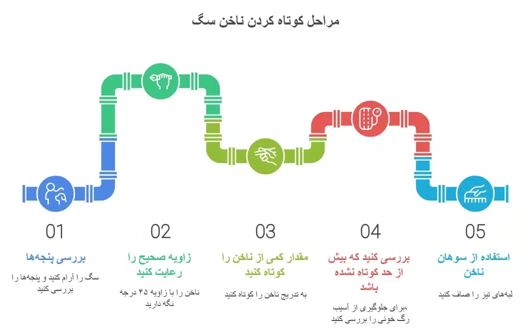 گرفتن ناخن سگ