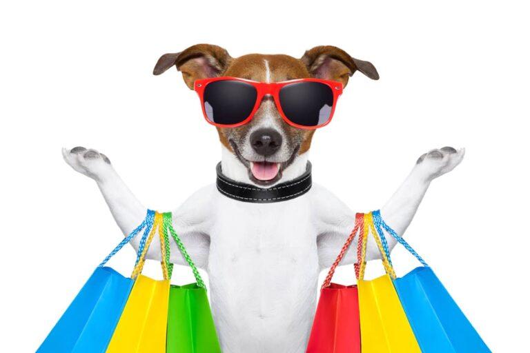 پت شاپ اینترنتی چیست؟!