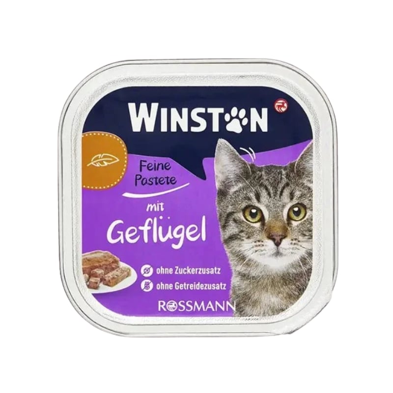 ووم گربه😸 وینستون با طعم مرغ