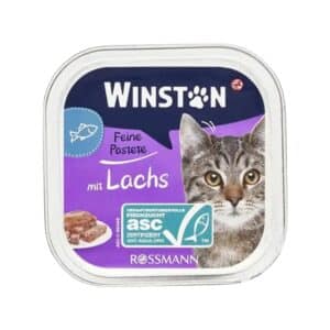 ووم گربه😸 وینستون با طعم ماهی سالمون