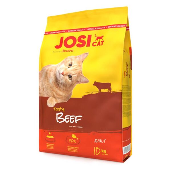 غذای خشک گربه جوسی کت با طعم گوشت وزن 1 کیلوگرم (فله)