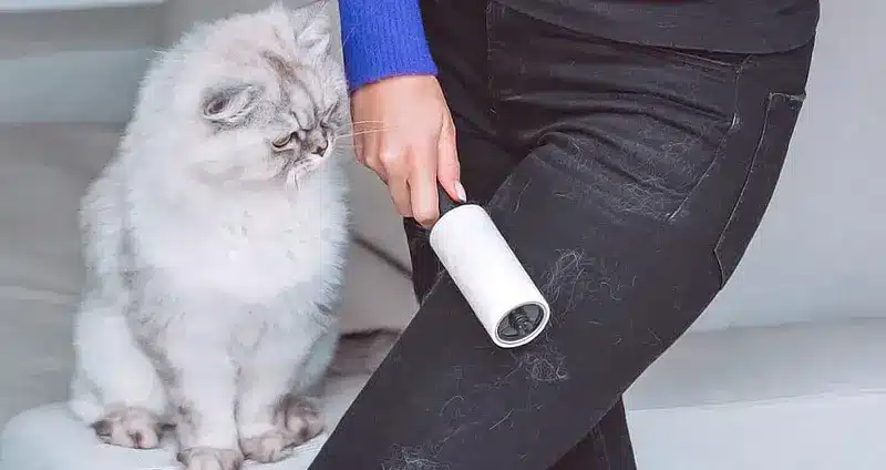 نحوه جمع آوری موی گربه ها