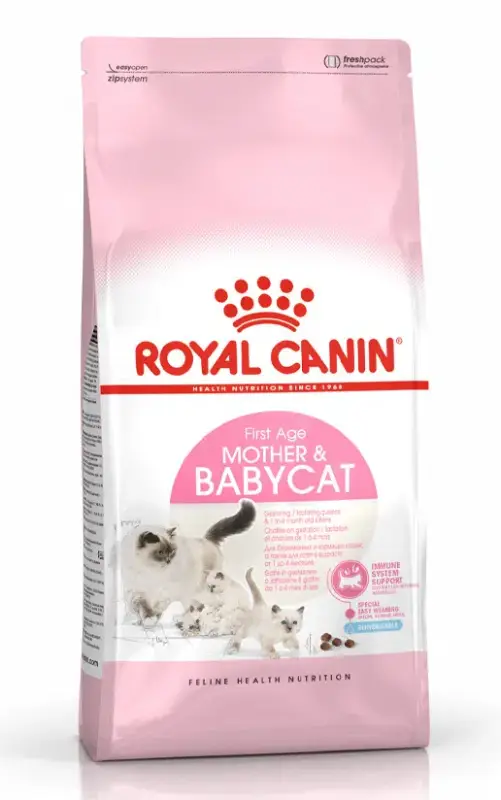 غذای خشگ گربه رویال کنین