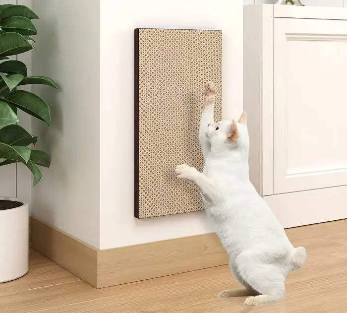 ضرورت اسکرچر گربه