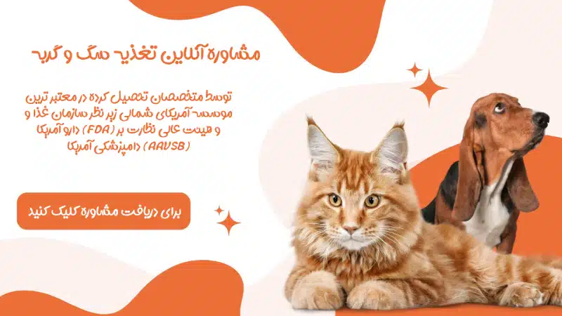 گربه ها چه غذایی دوست دارند؟ غذاهای مورد علاقه گربه ها