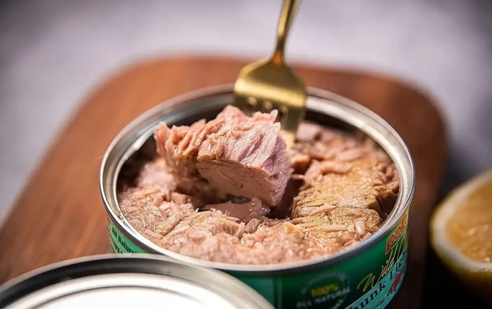 تن ماهی برای سگ ها خوبه