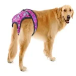 پریود سگ چیست؟ وقتی سگ پریود میشه چیکار کنیم ؟