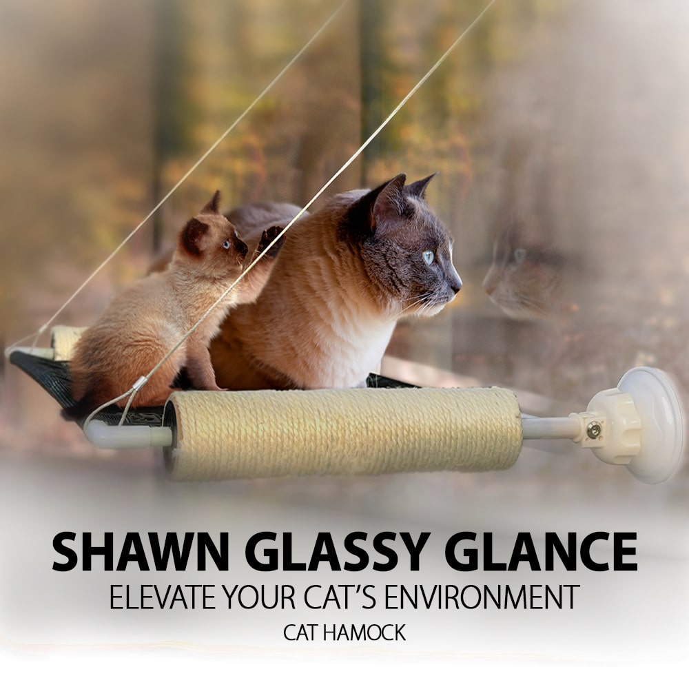 تخت پنجره ای گربه شاون