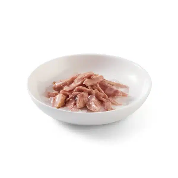 کنسرو گربه شسیر با طعم ماهی تن در ژله