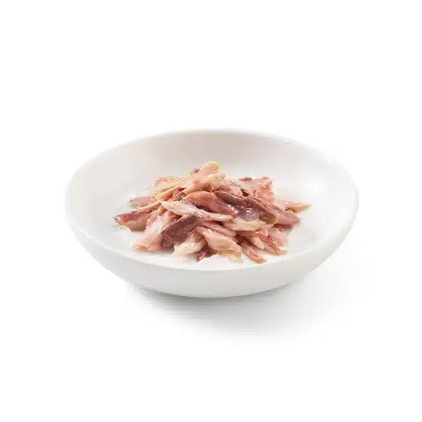 کنسرو گربه شسیر با طعم ماهی تن و فیله گوشت در ژله