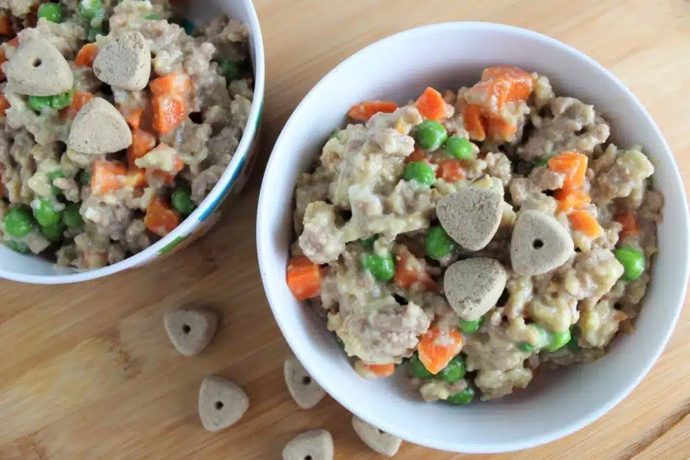 تهیه غذای سگ در خانه