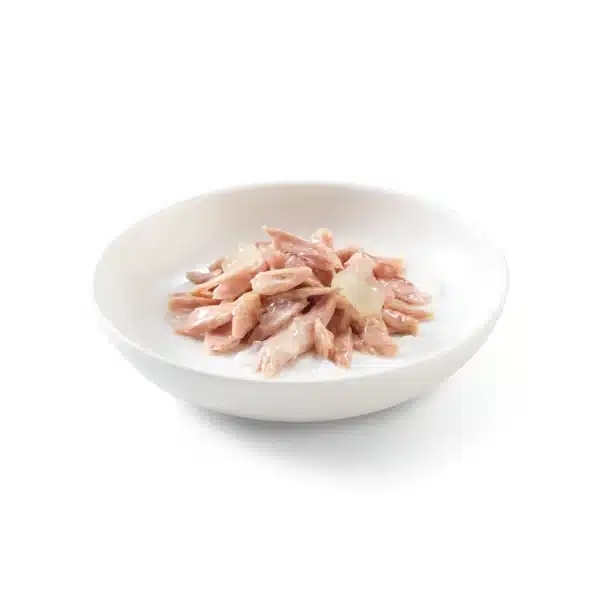 کنسرو گربه شسیر با طعم ماهی تن و آلوئه ورا در ژله