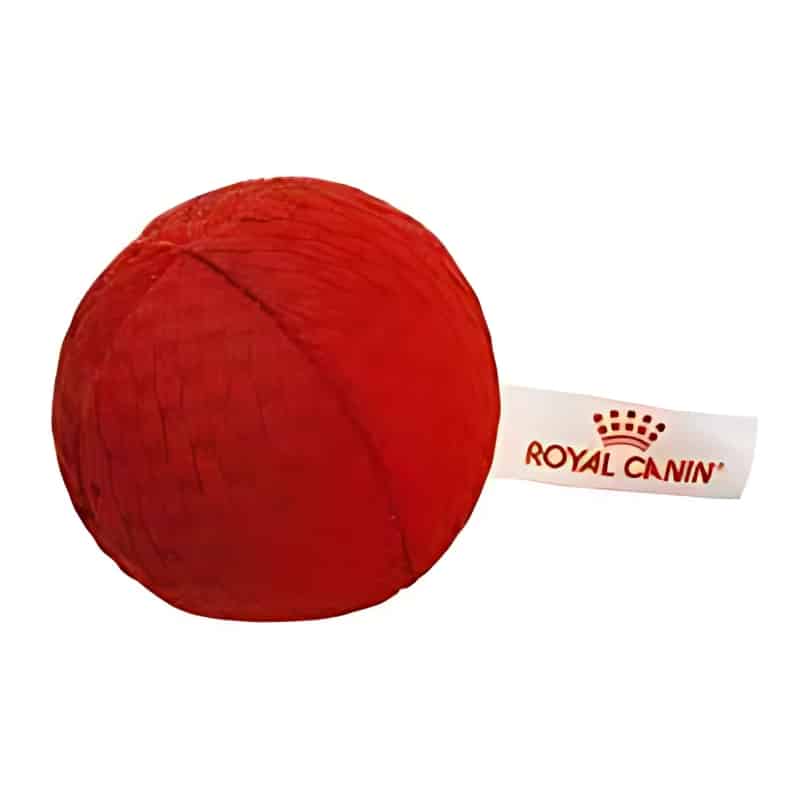 catnip_ball اسباب بازی گربه رویال کنین مدل توپ پارچه ای کت نیپ دار