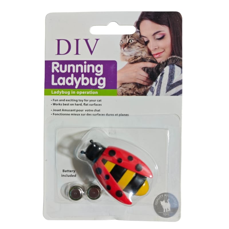 اسباب‌ بازی گربه کفشدوزک متحرک