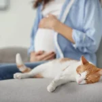 ایا موی گربه باعث نازایی میشه