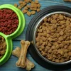 فواید غذای خشک برای سگ
