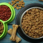 فواید غذای خشک برای سگ