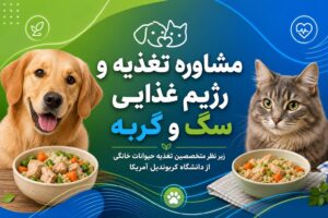 مشاوره تغذیه حیوانات خانگی