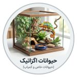 اگزاتیک