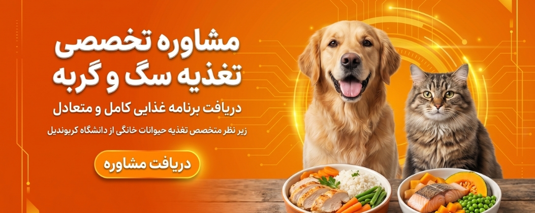 مشاوره تغذیه سگ و گربه