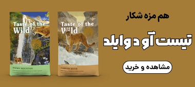خرید محصولات برند تیست آو د وایلد