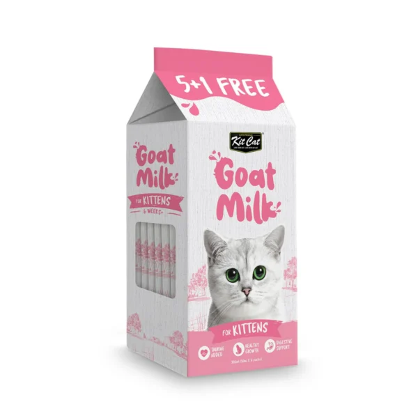 شیر بچه گربه کیت کت (Kit Cat) با طعم شیر بز