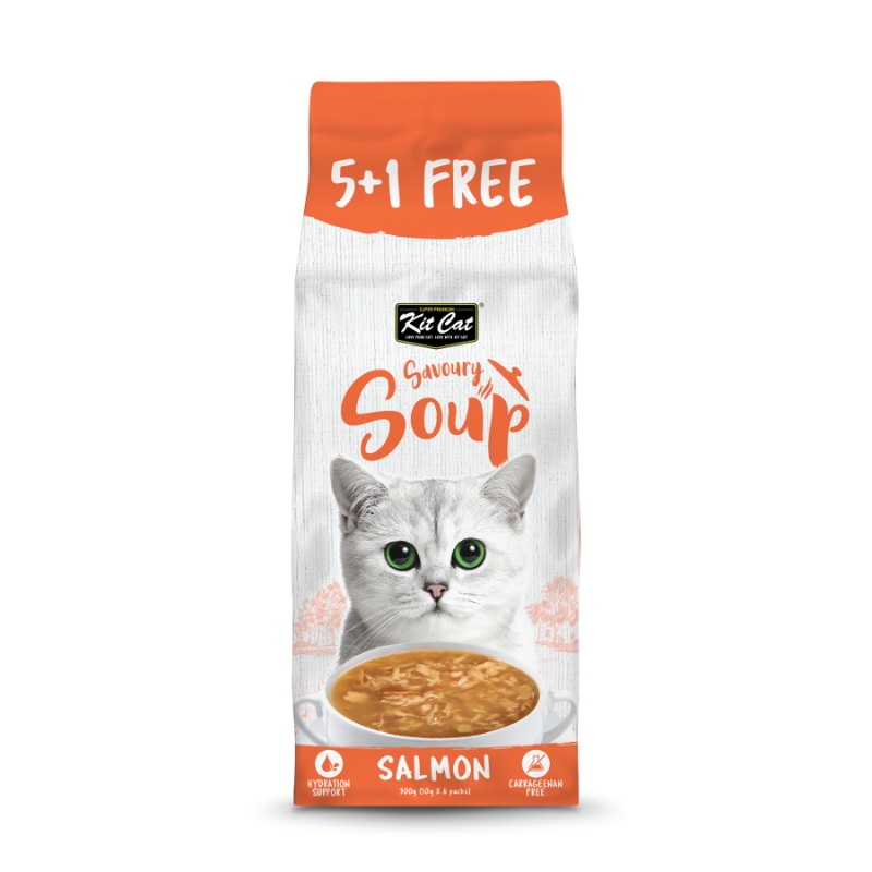 سوپ گربه کیت کت (Kit Cat) با طعم سالمون