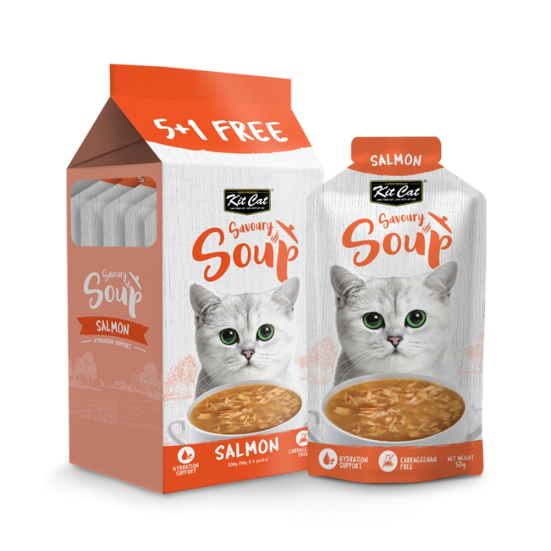 سوپ گربه کیت کت (Kit Cat) با طعم سالمون