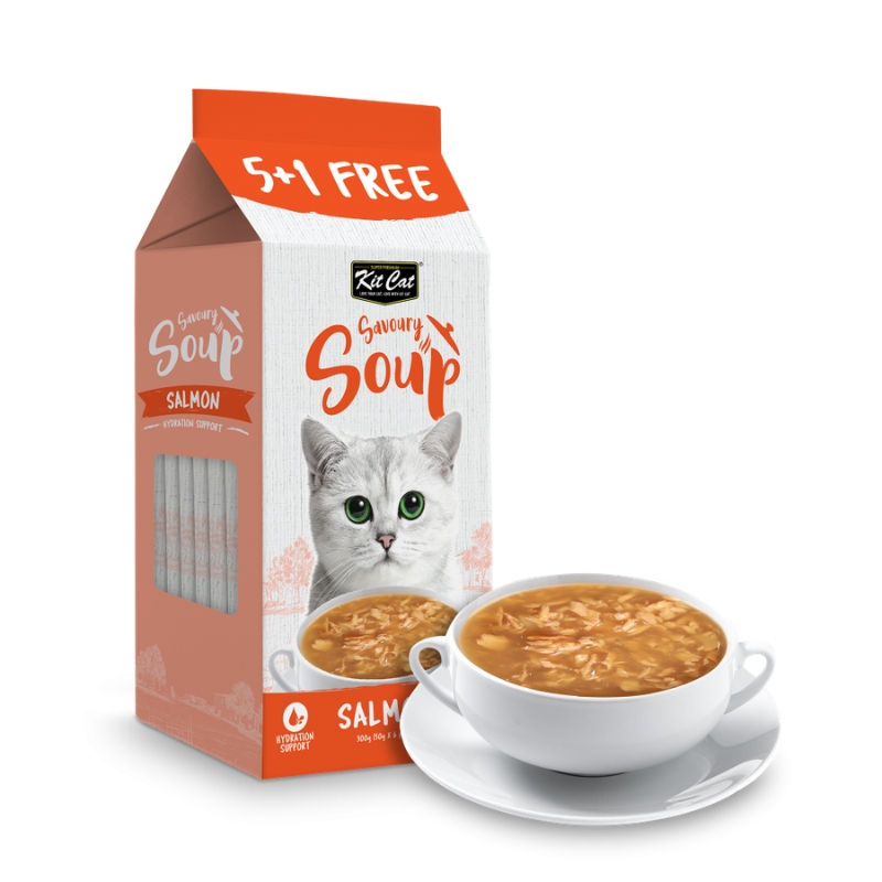 سوپ گربه کیت کت (Kit Cat) با طعم سالمون
