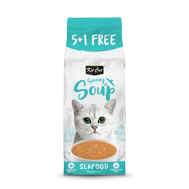 سوپ گربه کیت کت (Kit Cat) با طعم غذای دریایی