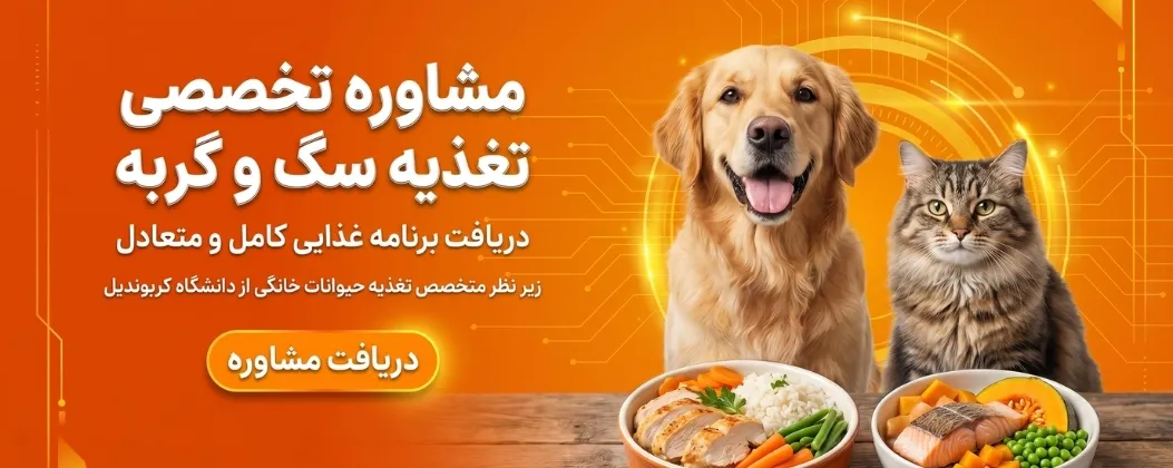 مشاوره تغذیه سگ و گربه